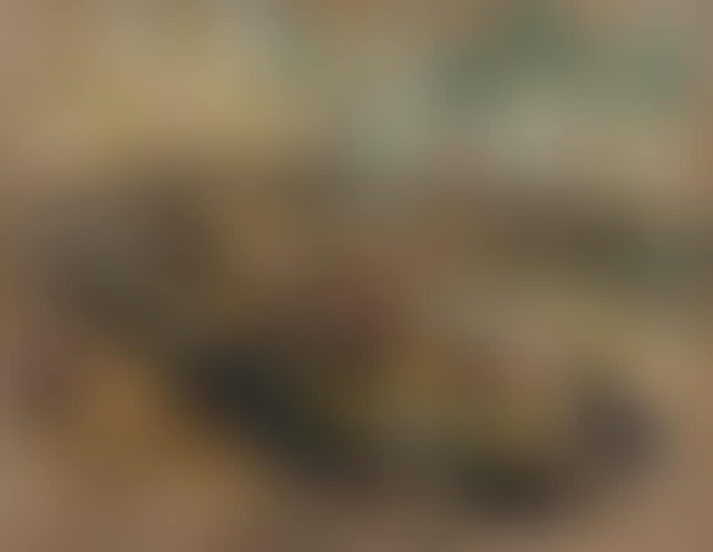 THE PRAW II (preview)