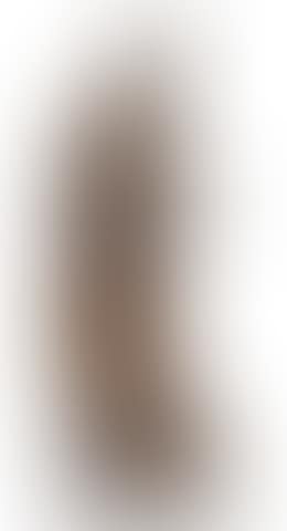 Pastorale Watteau (preview)