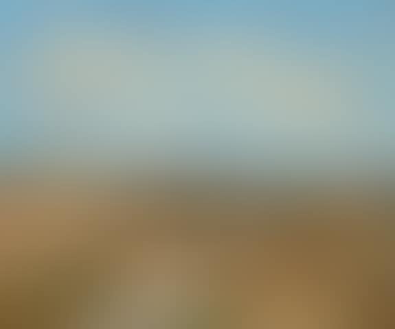Rosebud Landscape (preview)