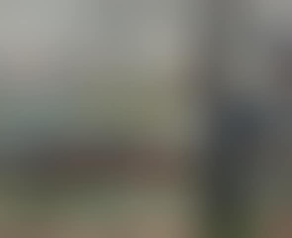 The Seine (preview)