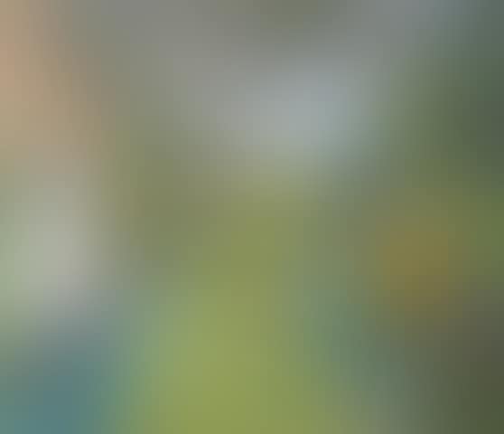 Stamford's Border (preview)
