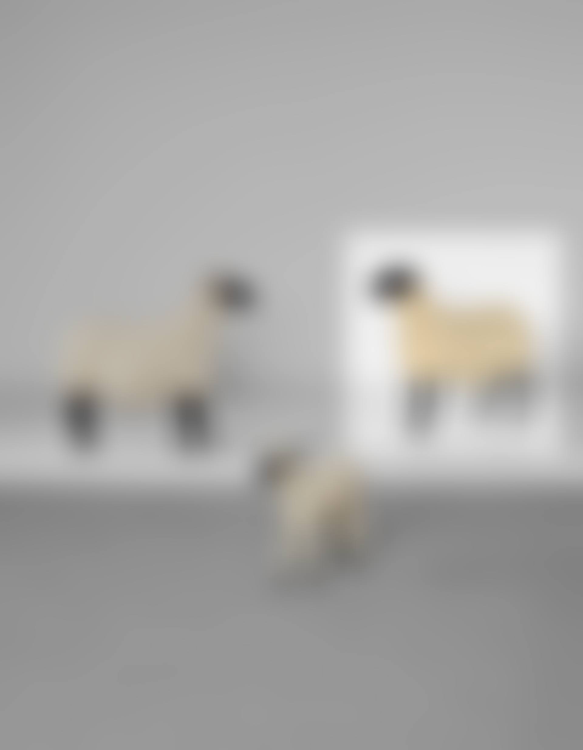 Mouton ‘Transhumant’ (preview)