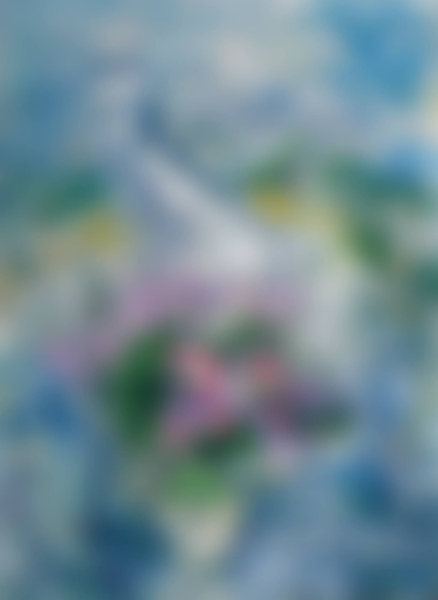 LES FLEURS DE VENCE  (preview)