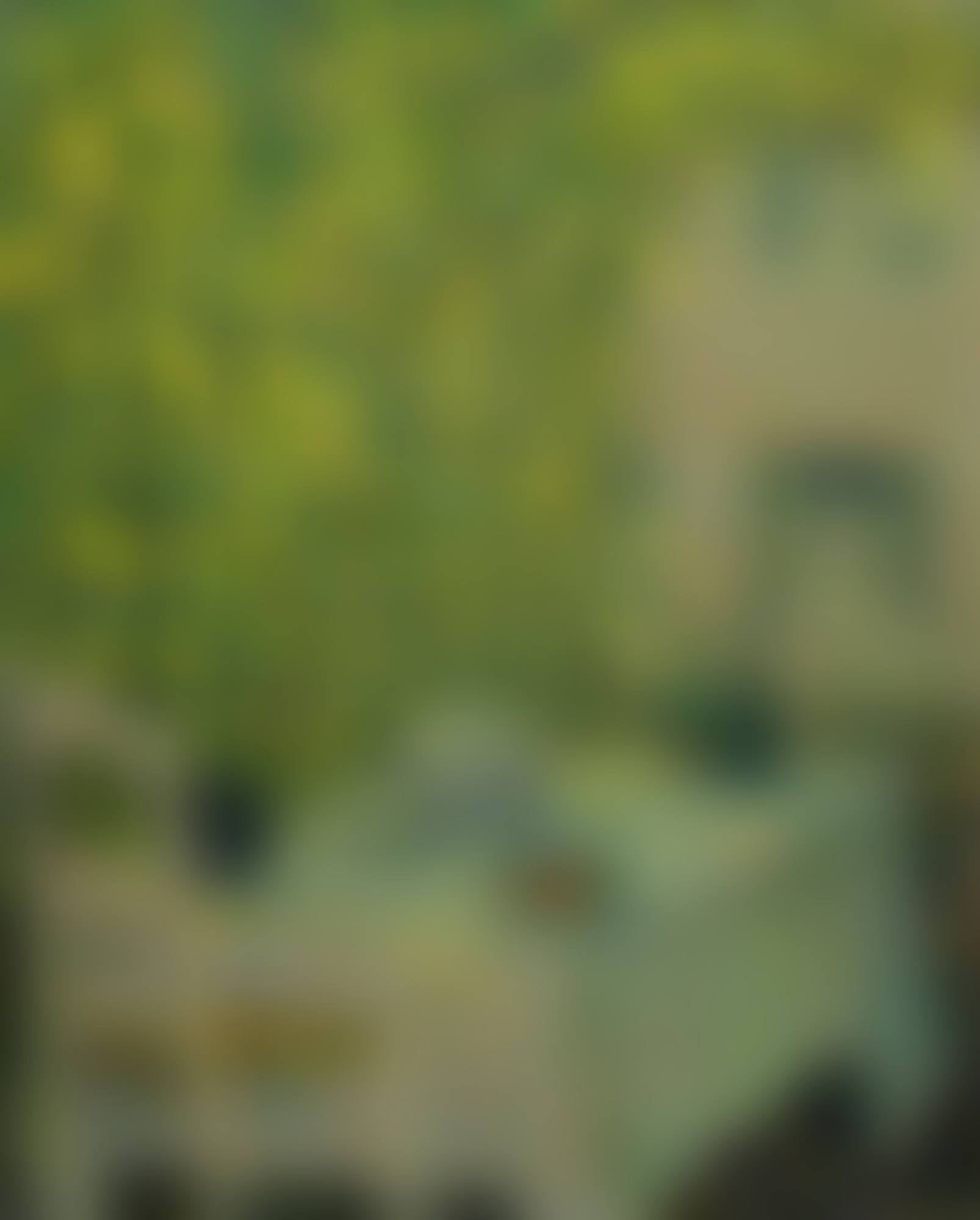 LA TABLE VILLAGEOISE, GERBEROY (preview)