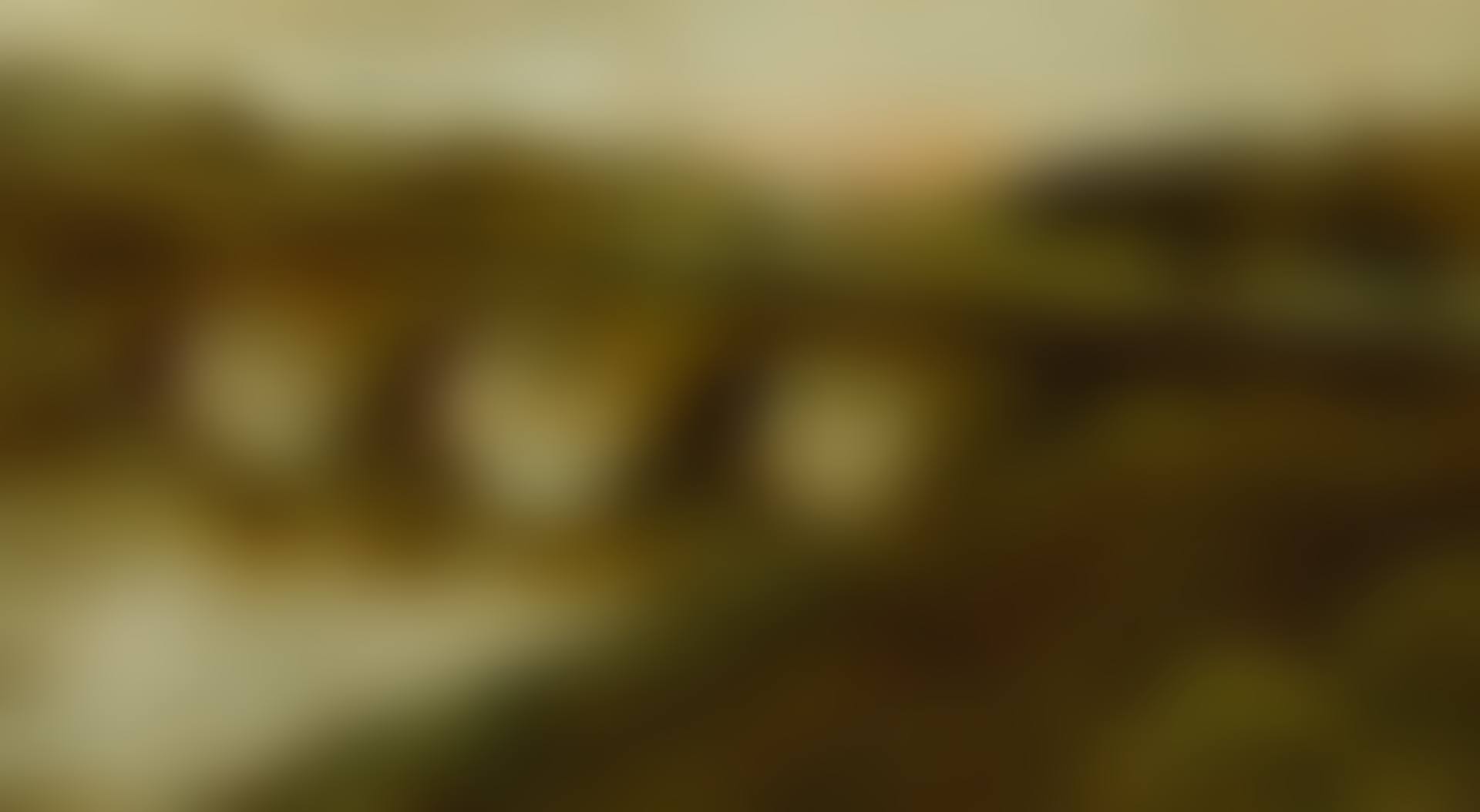 VUE DE PARIS (preview)