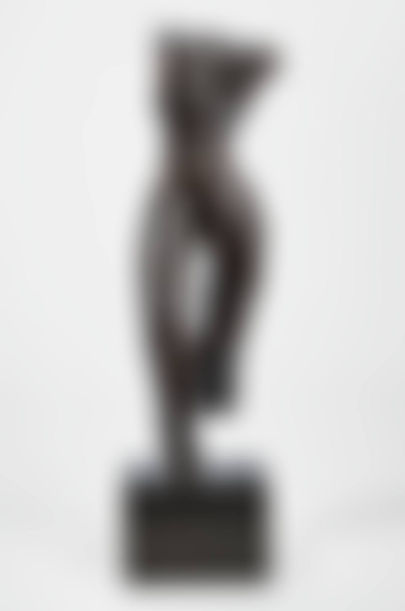 TORSE DEBOUT (preview)