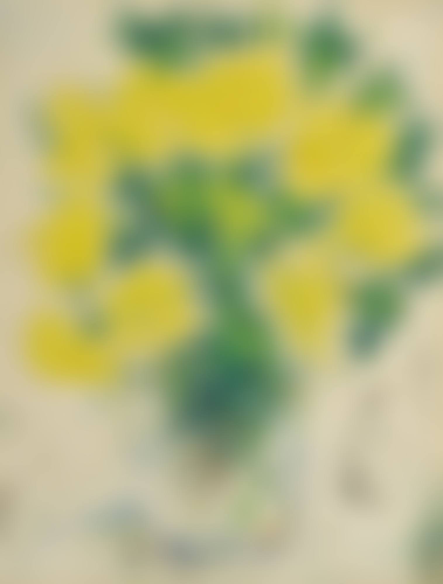VASE DE FLEURS (preview)