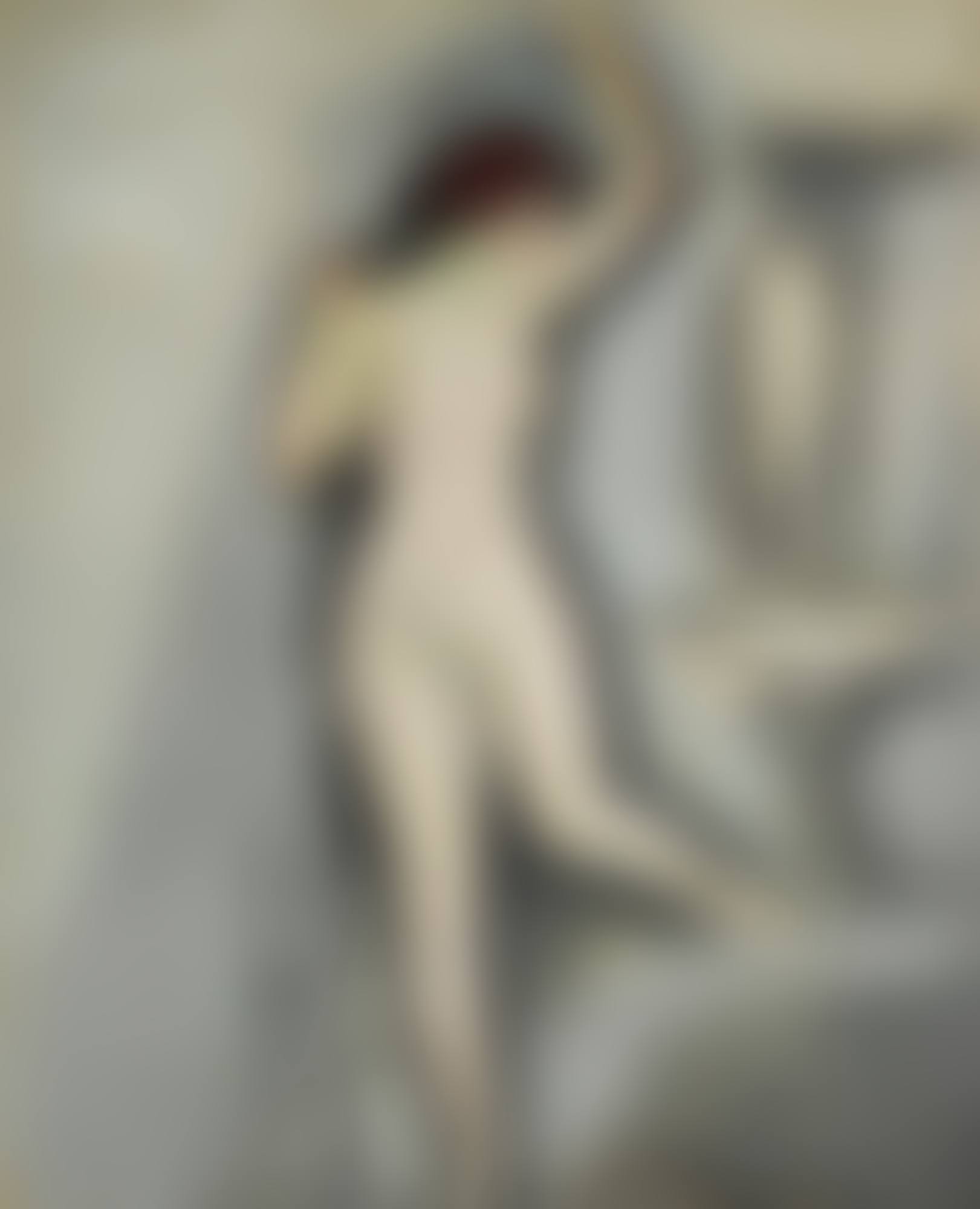 LE NU ESTHÉTIQUE (preview)