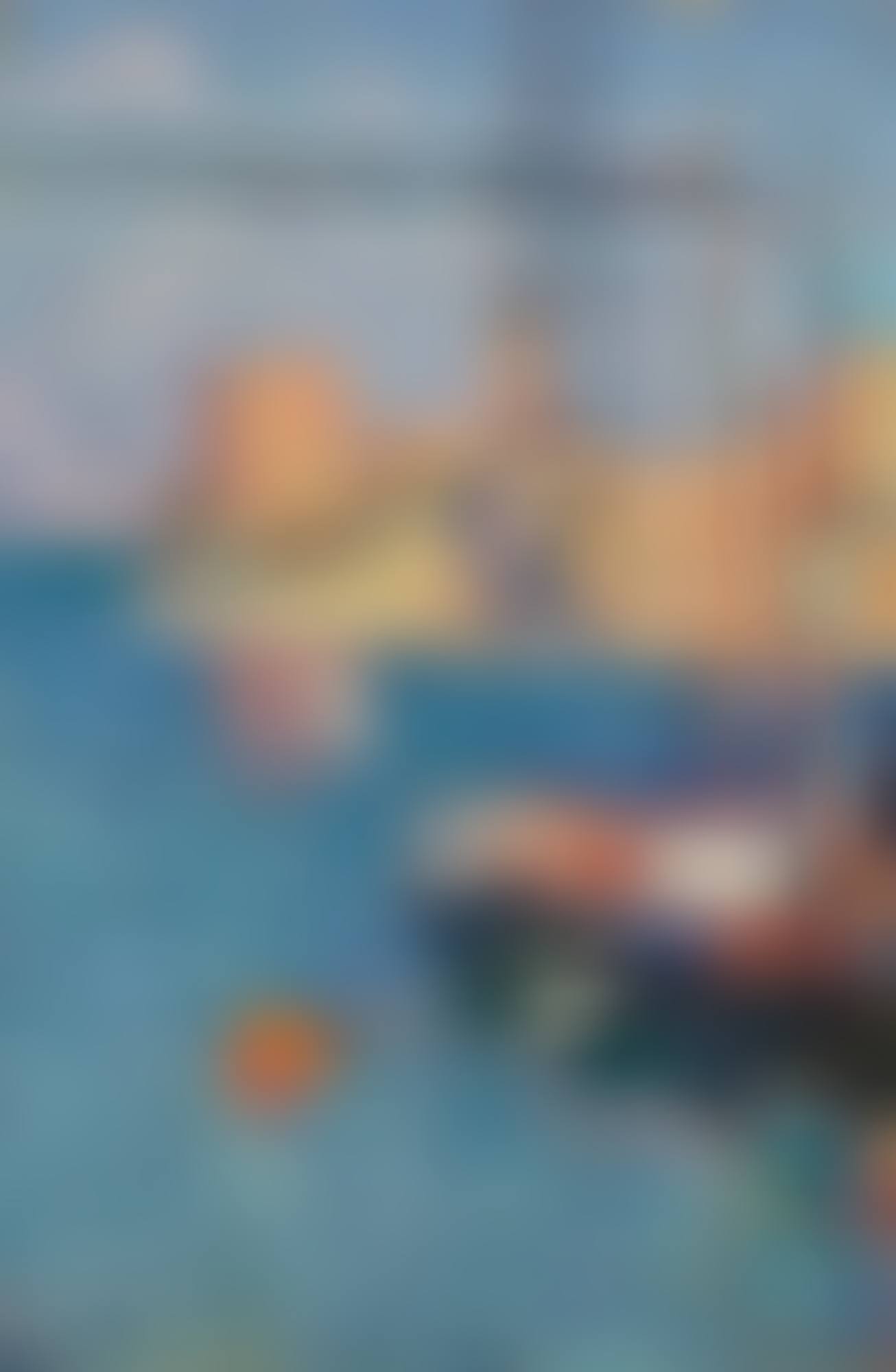 LE PORT TRANSBORDEUR DE MARSEILLE (preview)