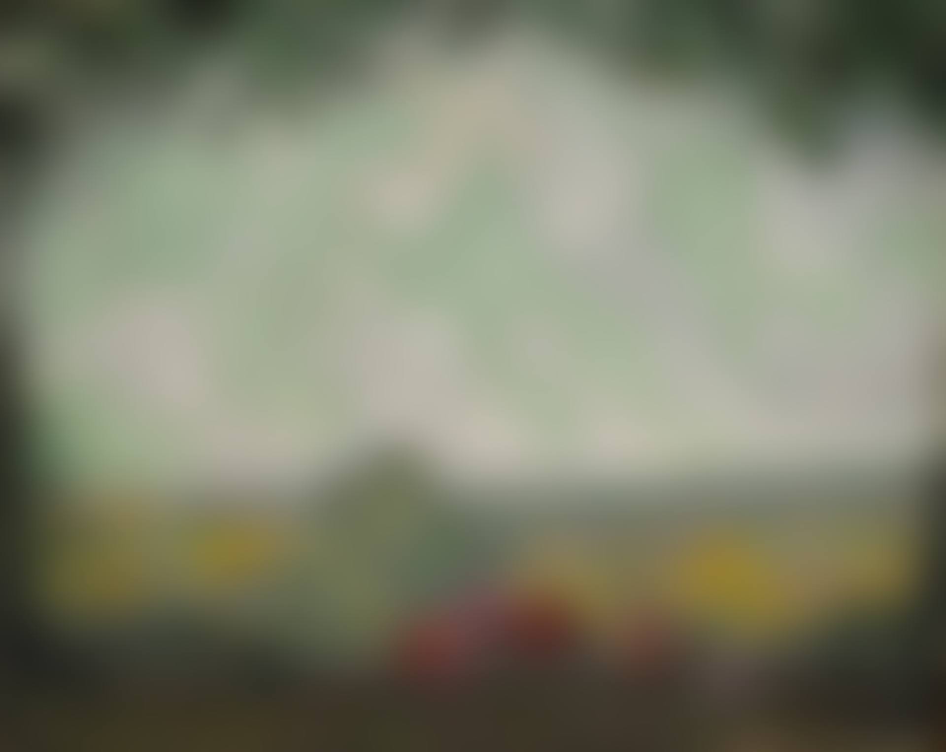 VUE DE LA TERRASSE (preview)