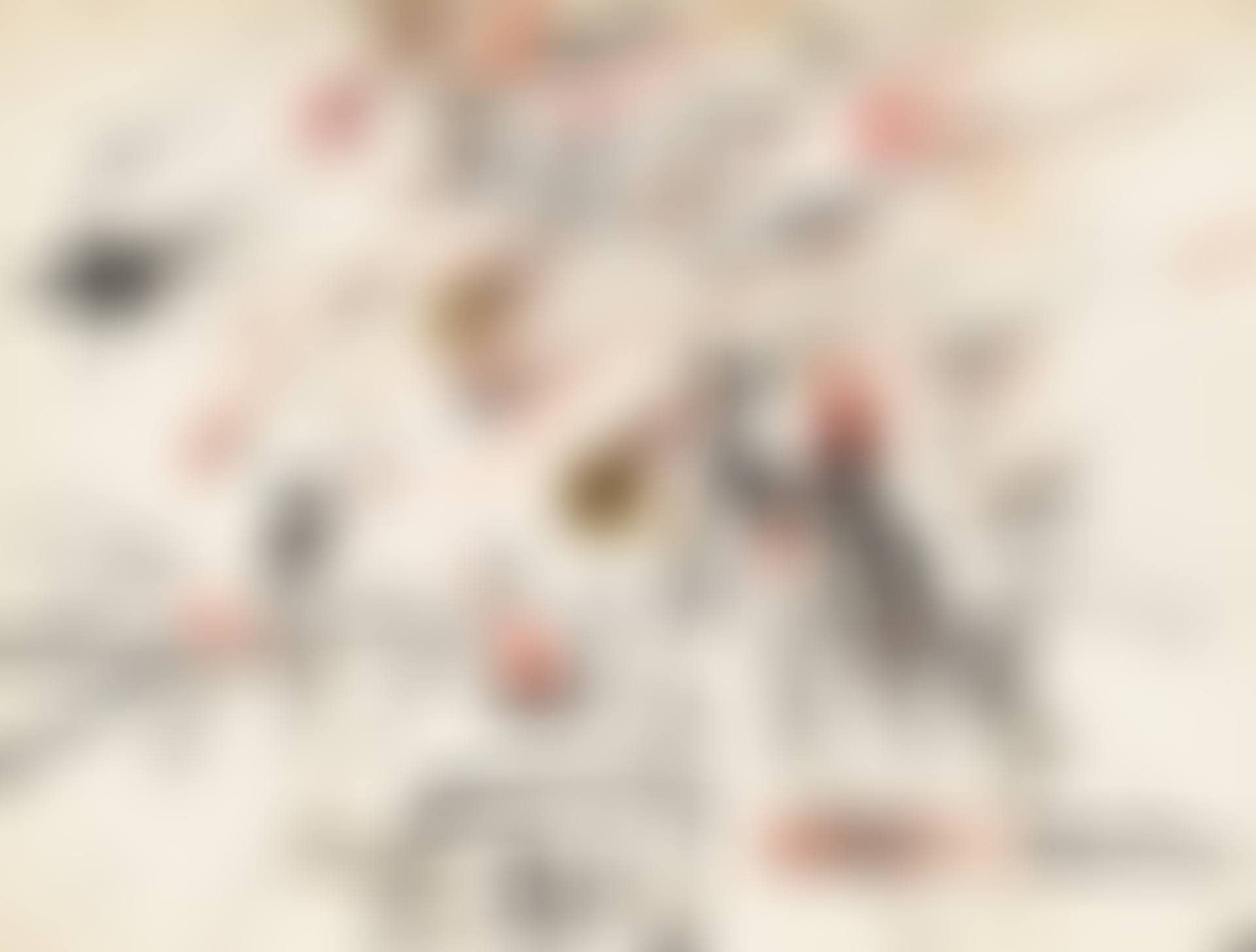 STARLIGHT BALL (preview)