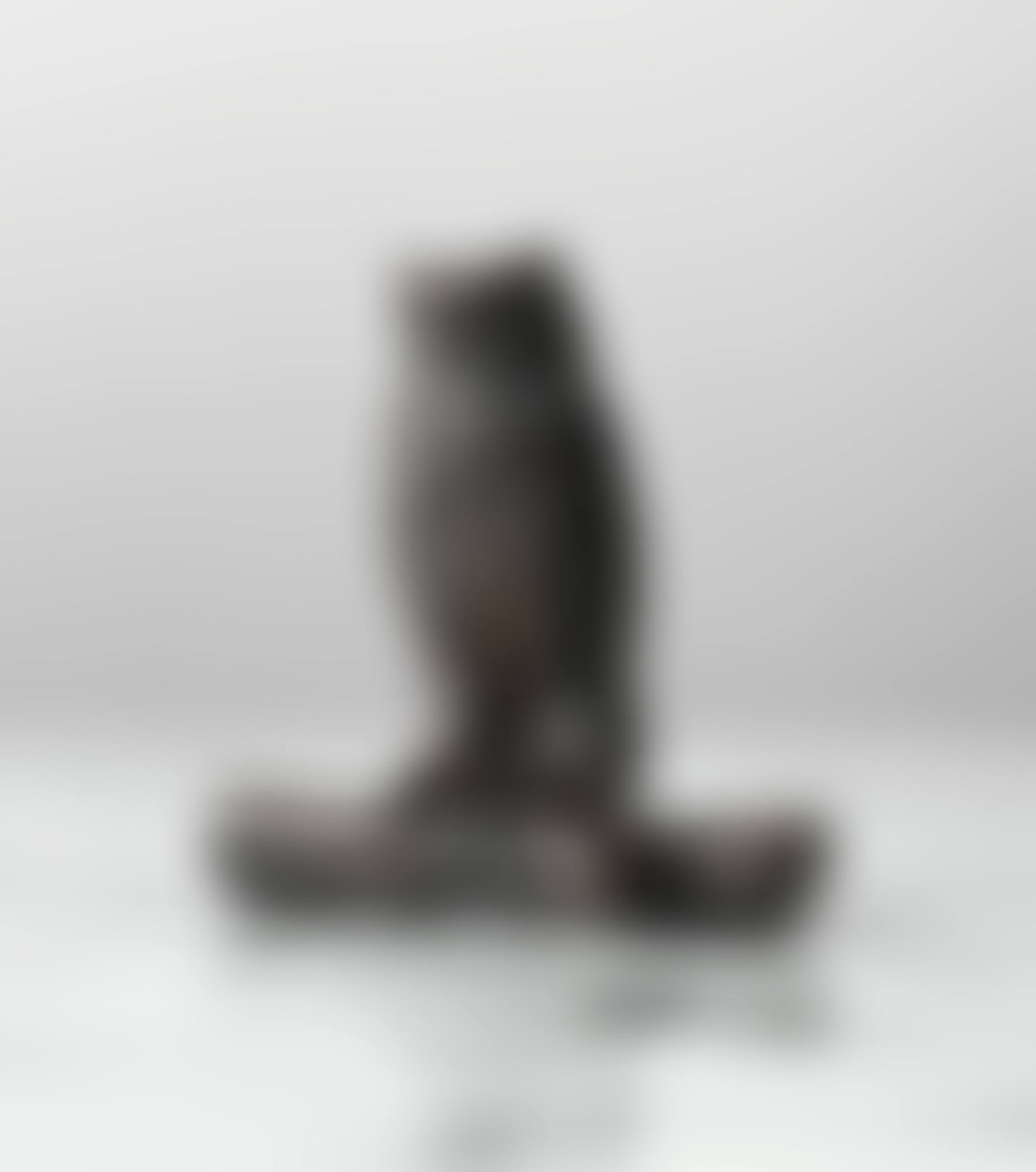 HIBOU SUR BRANCHE  (preview)
