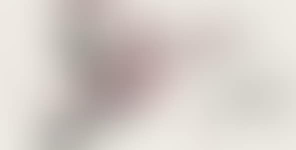 PLUM BLOSSOM (preview)