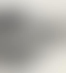 LANDSCAPE (preview)