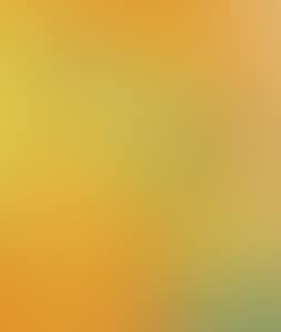 GIRL WITH ORANGE HAIR (preview)
