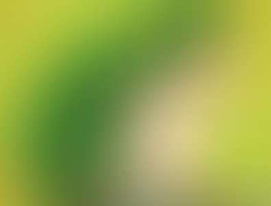 GREEN CAT (preview)