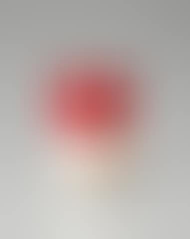 Campbell's Tomato Soup Can (preview)