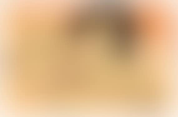 Liegende Frau im Bett (preview)