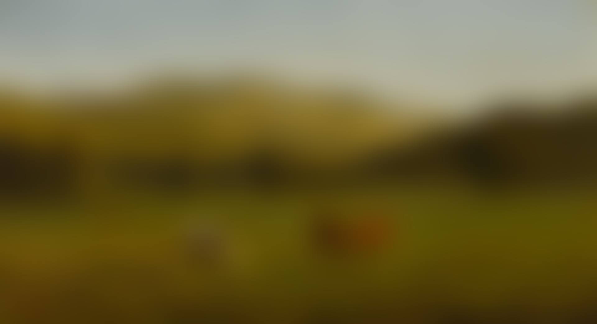 PEMIGEWASSET RIVER, N.H. (preview)