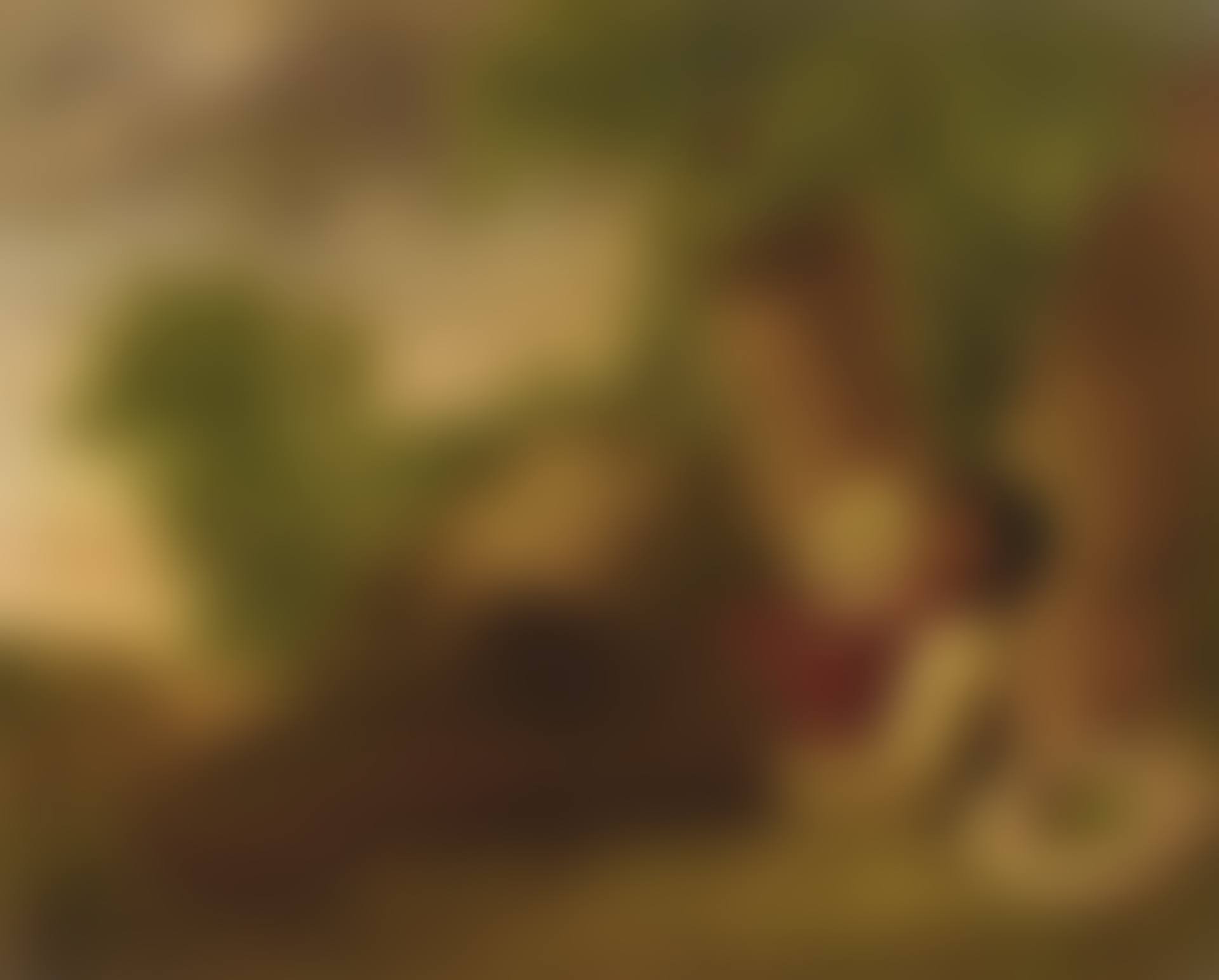 BOY ASLEEP AT THE BASE OF A TREE (preview)