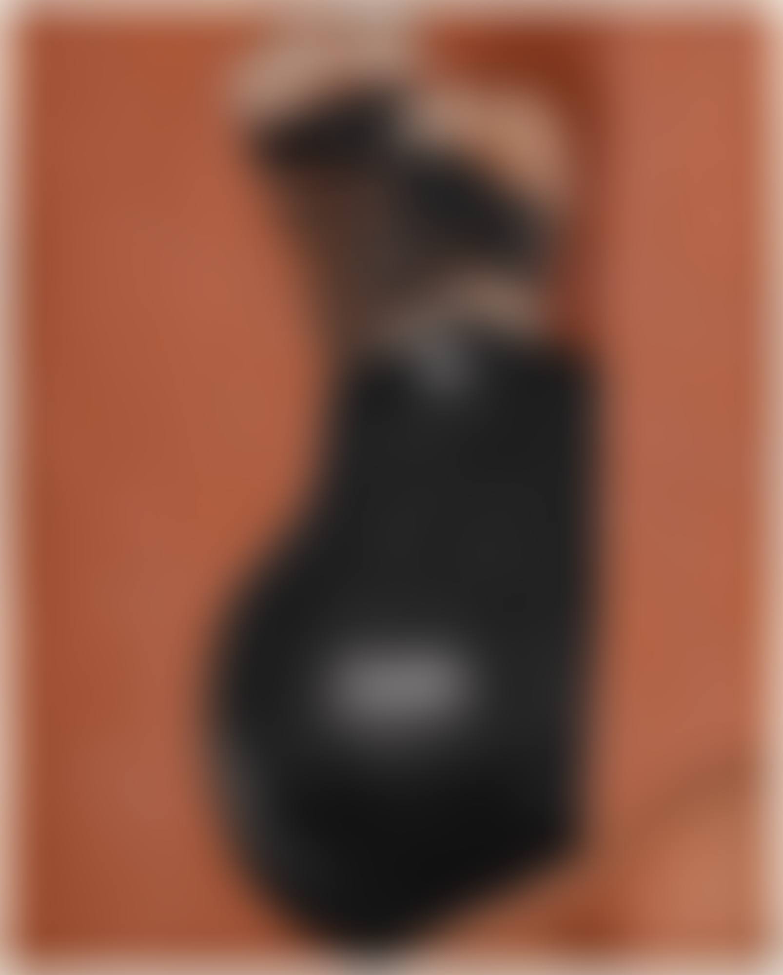 TURKEY FEATHERS AND INDIAN POT (TURKEY FEATHERS–INDIAN POT) (preview)
