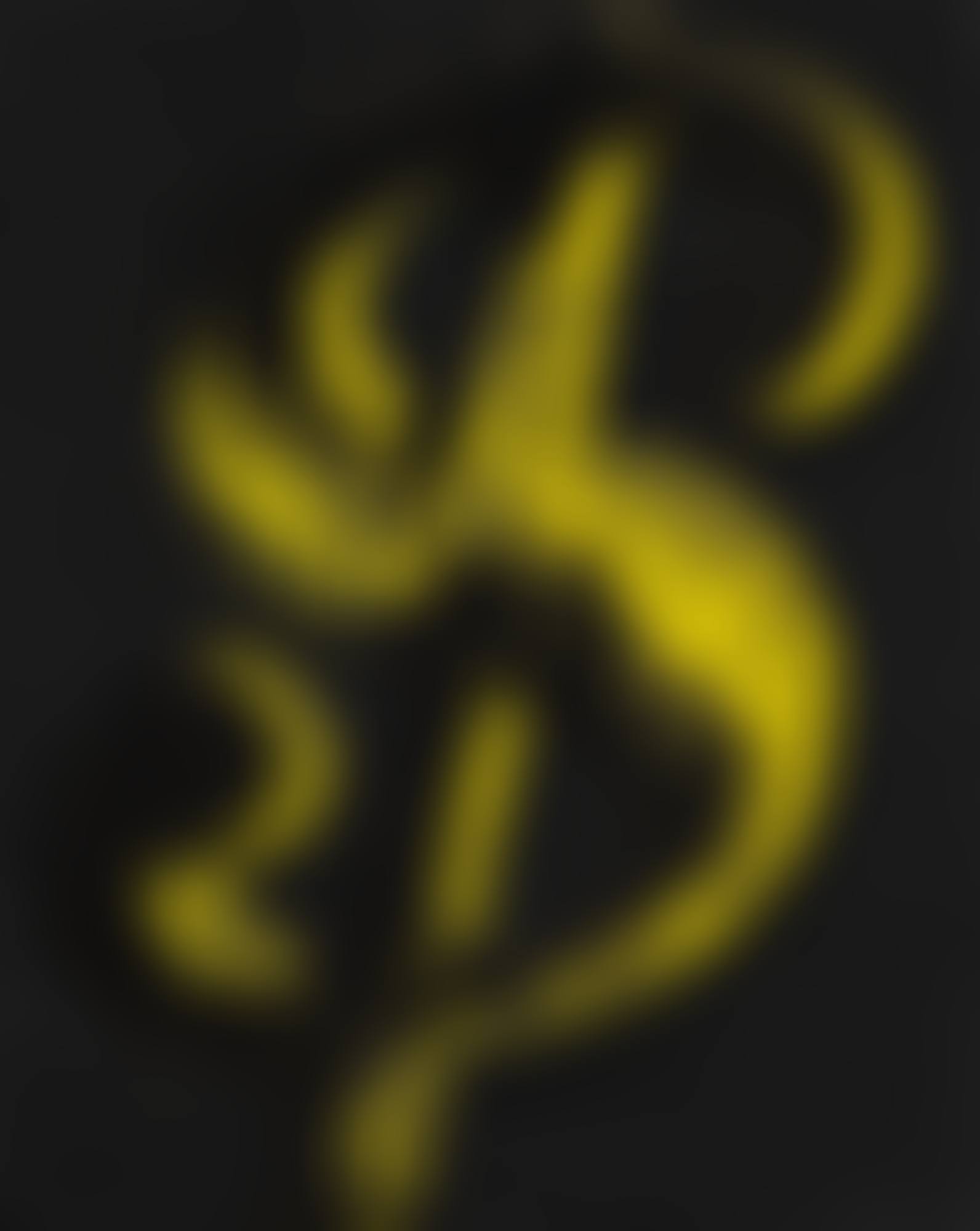 DOLLAR SIGN (preview)