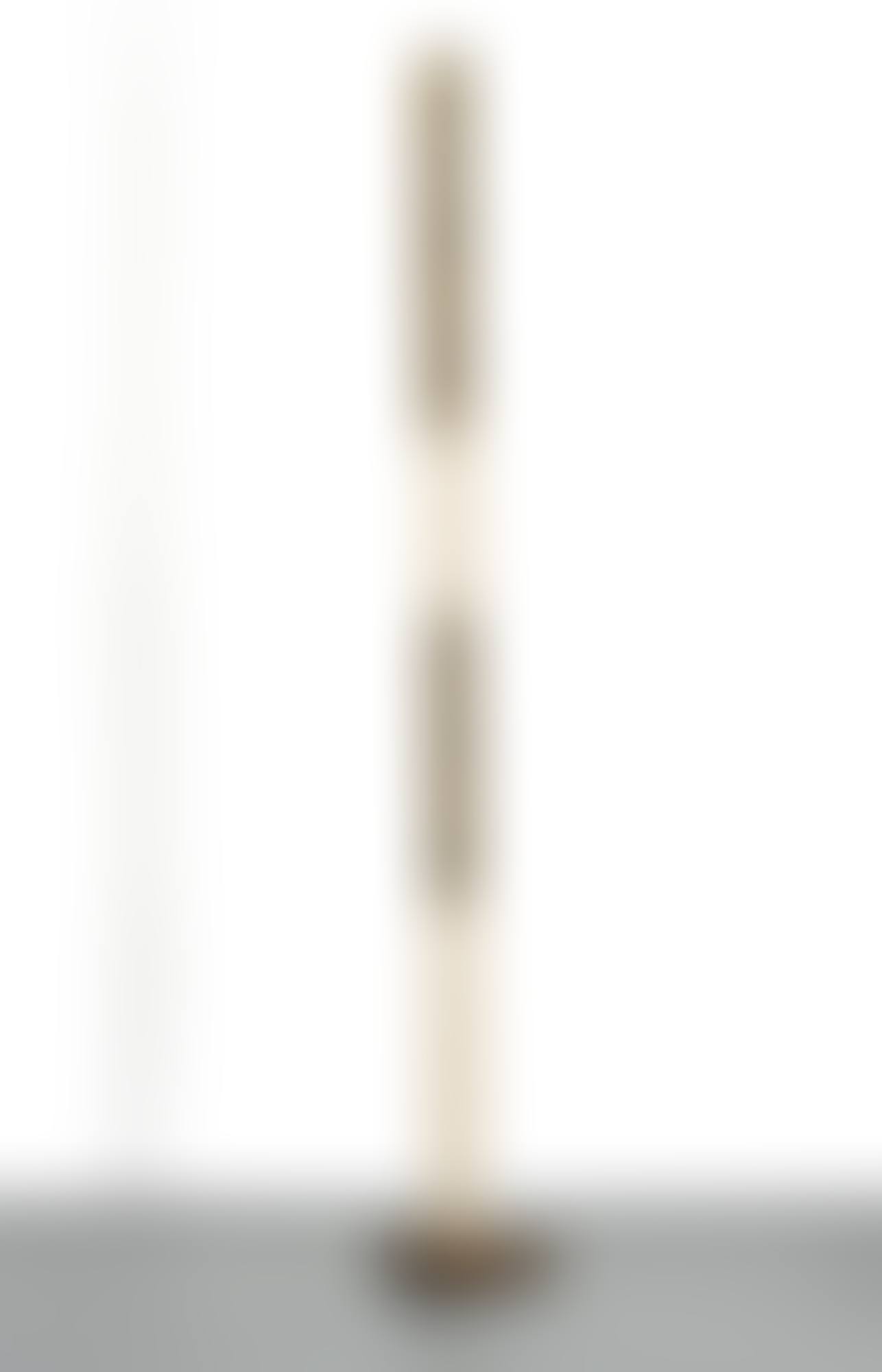 ASTA CIELARE X (preview)