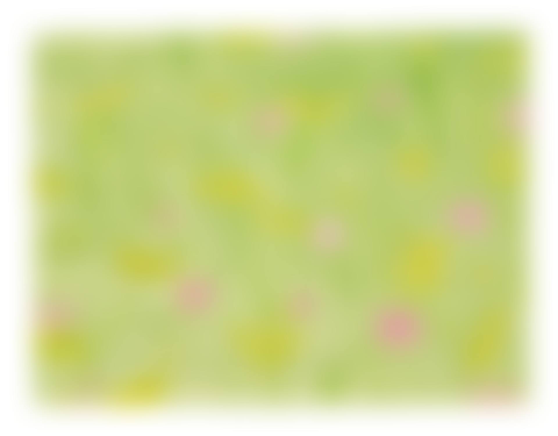 FIELD FLOWERS ON LIGHT GREEN (preview)