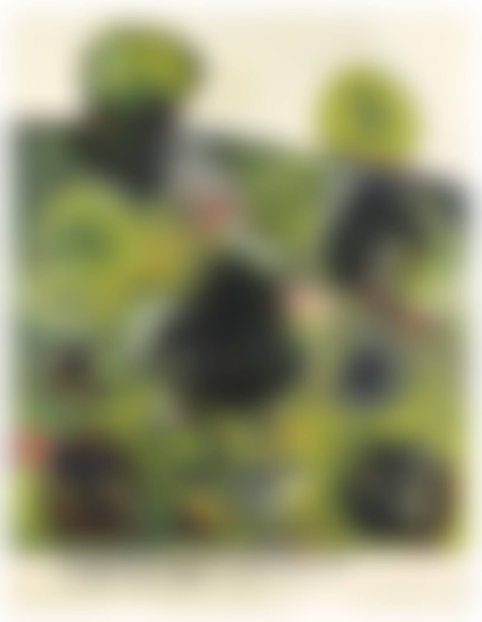 TARANTULA (preview)