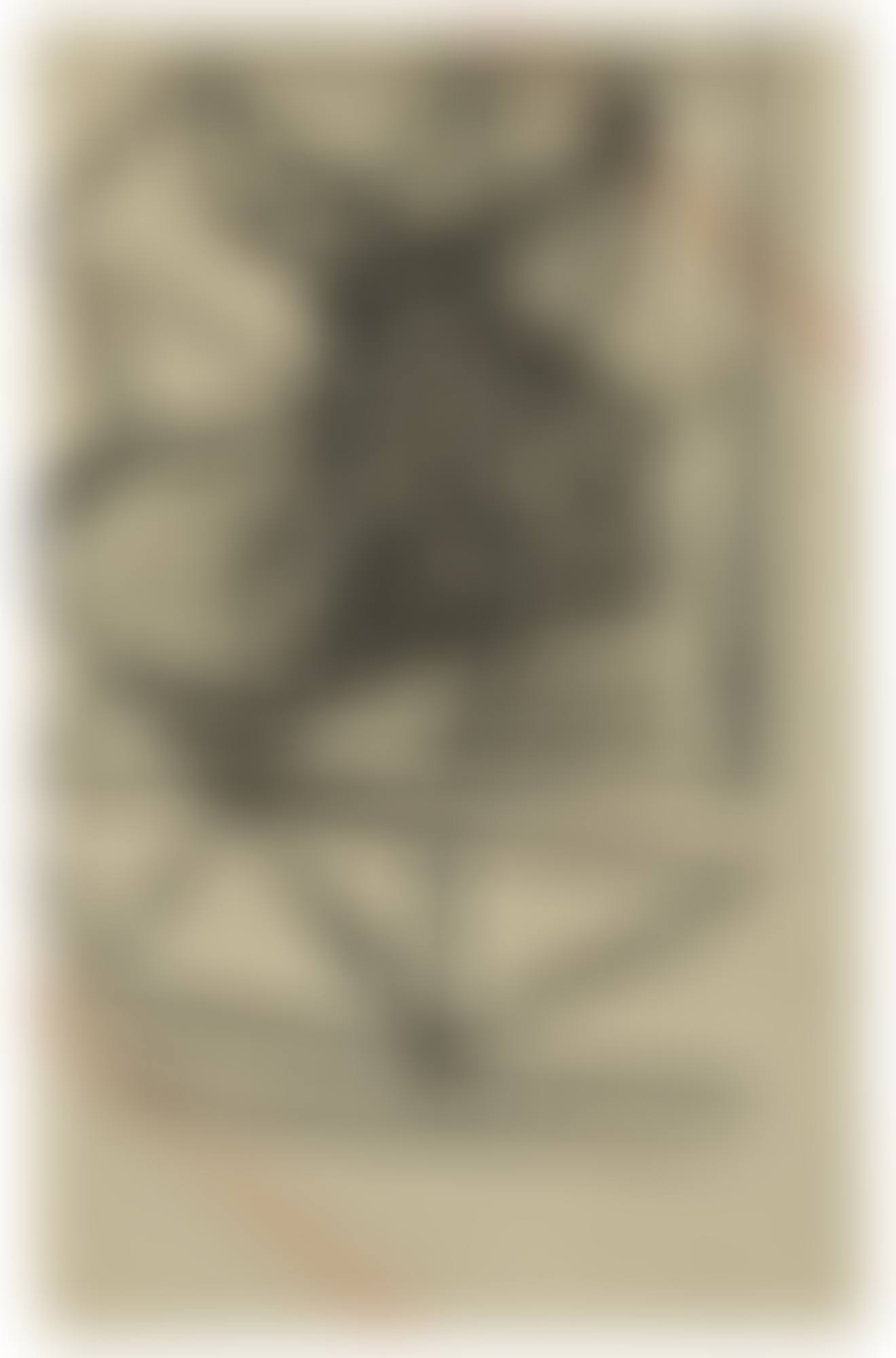 TAUREAU (preview)