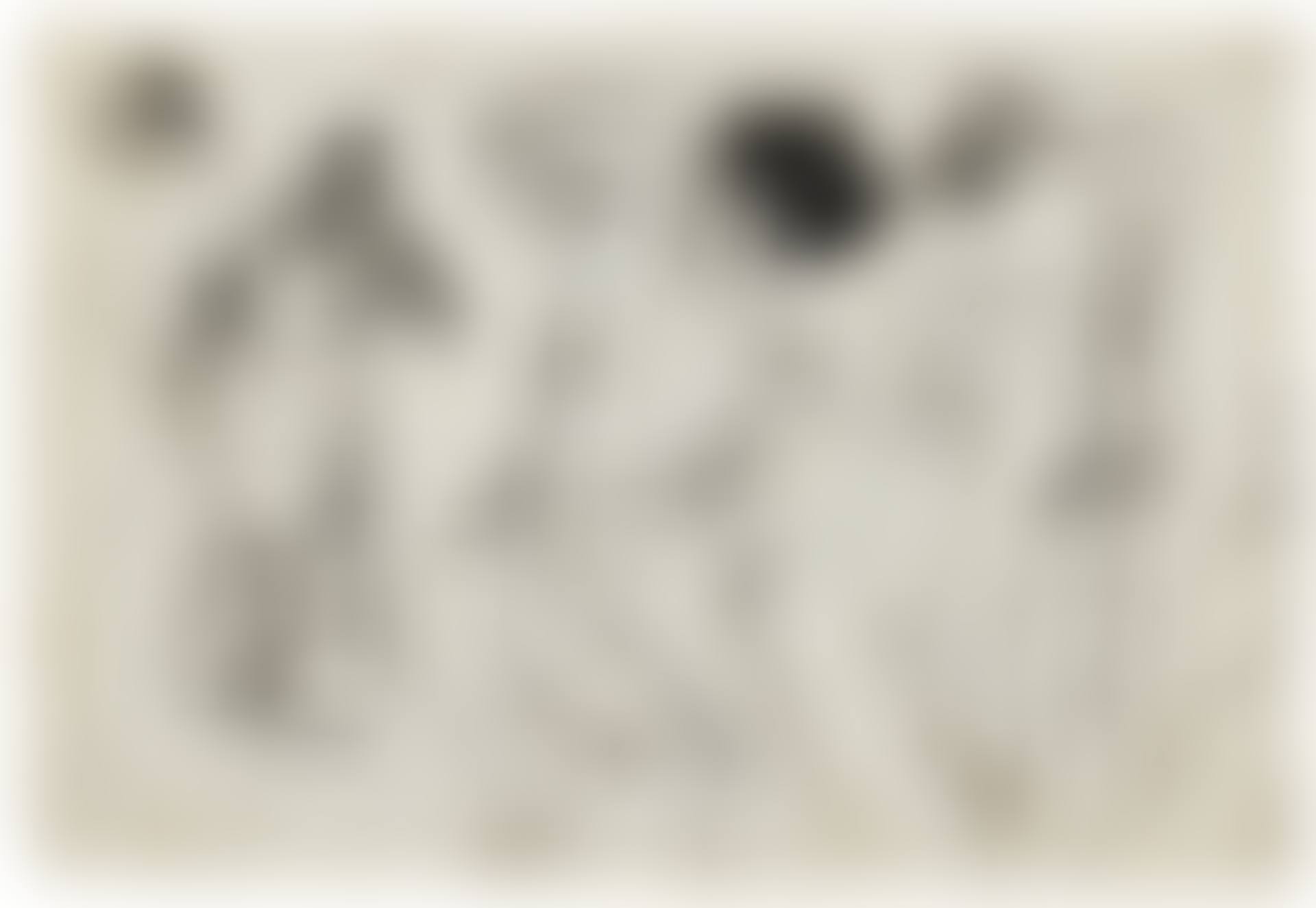 ÉTUDES DE FEMME ( RECTO ) & ÉTUDES DE FEMME À LA TOILETTE ( VERSO ): A DOUBLE-SIDED WORK (preview)