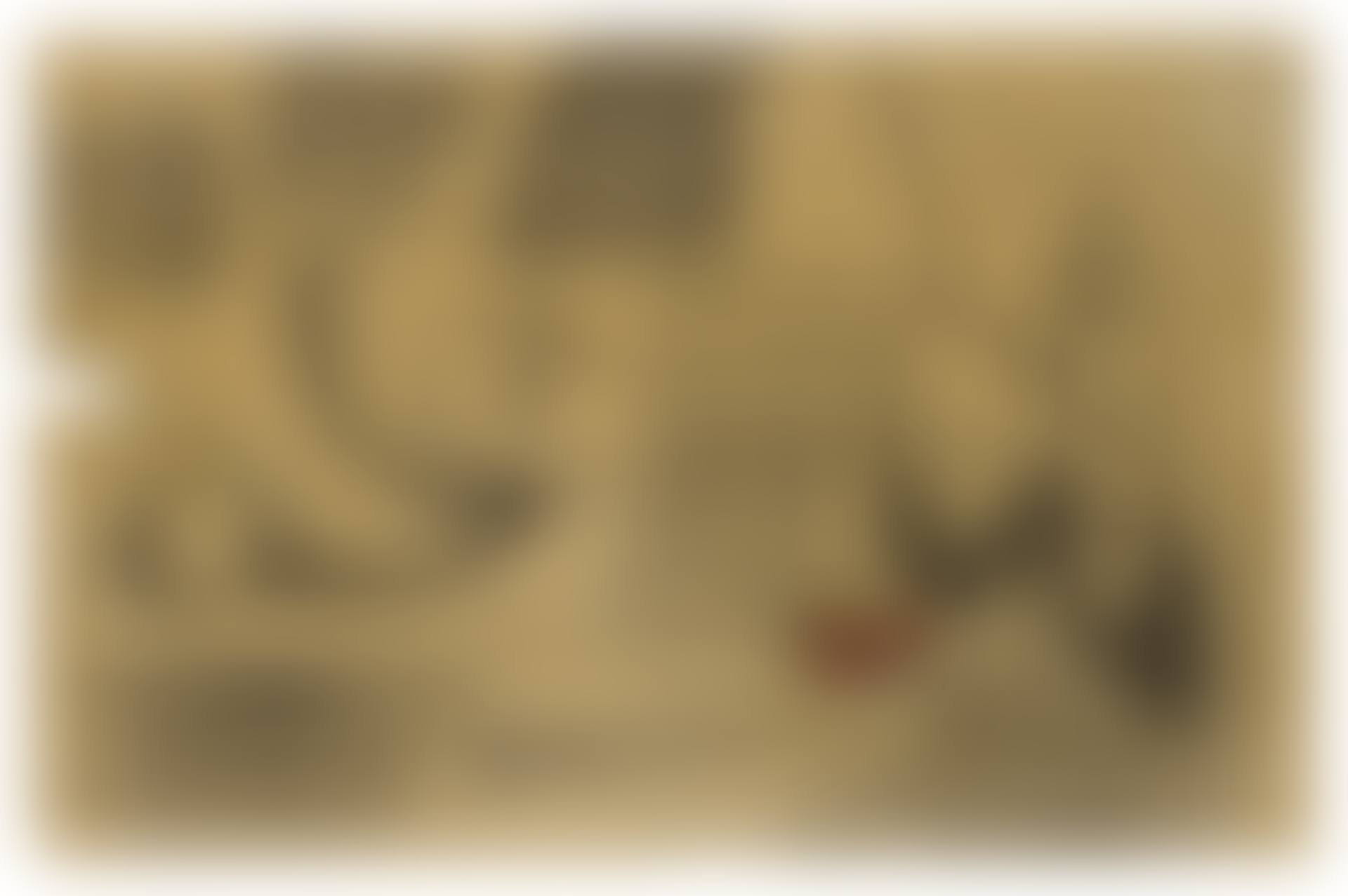 ÉTUDES (preview)