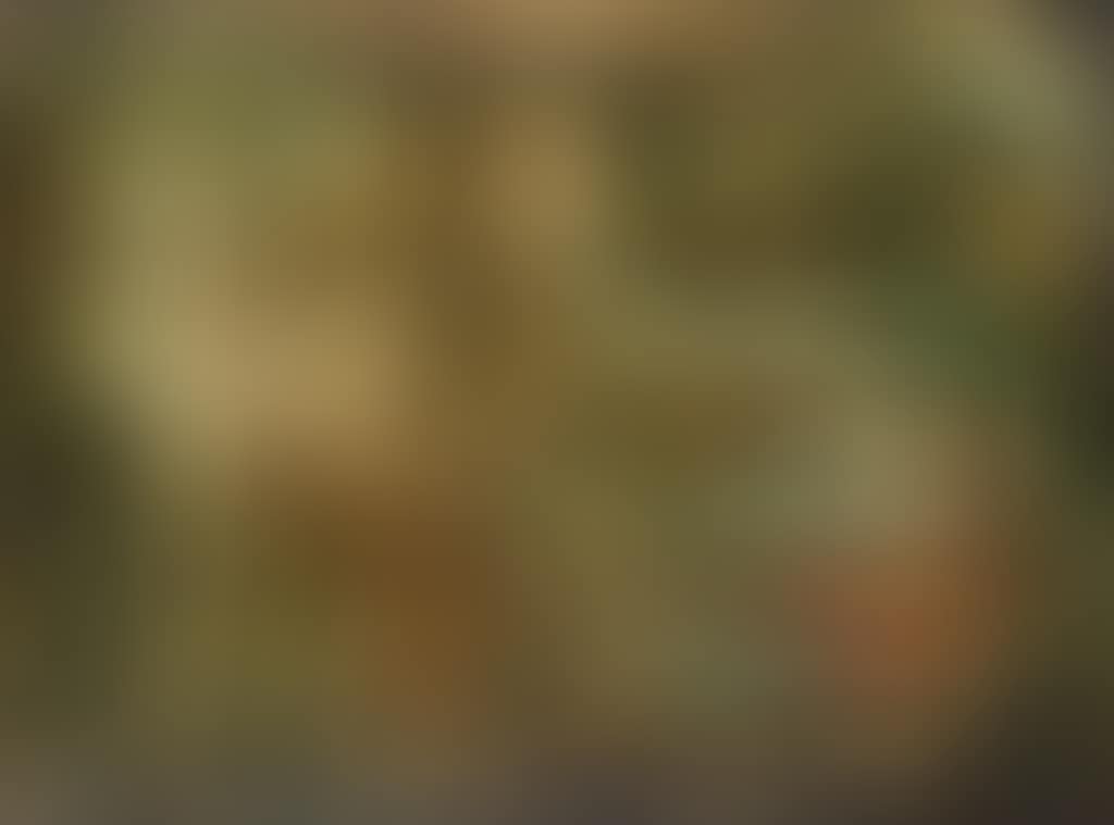 Spiritual Scene (preview)