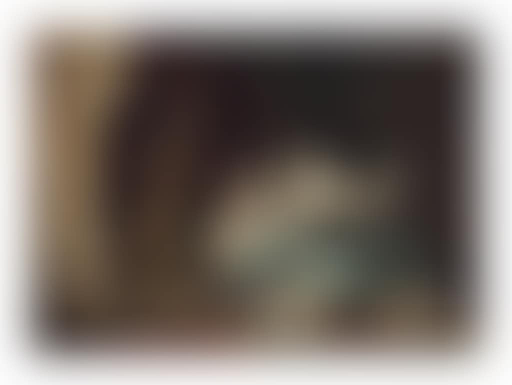 Playful kittens near a fire place (preview)