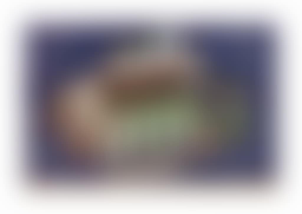 Coquille (preview)