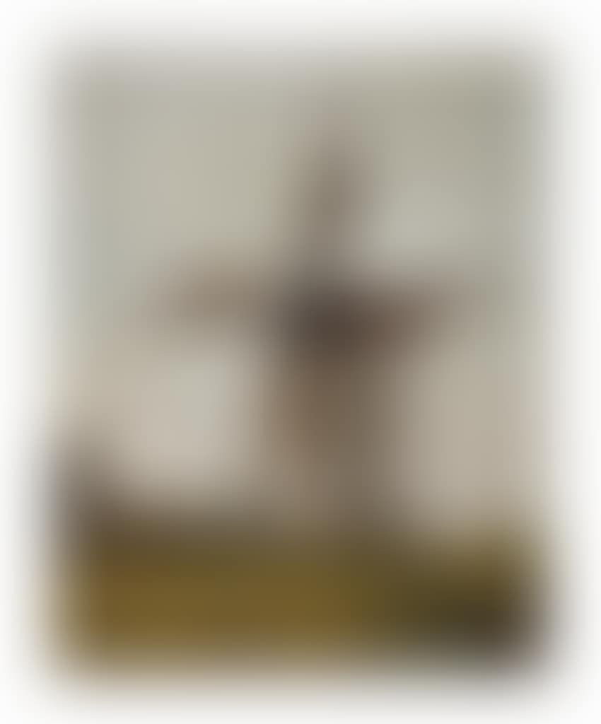Witte molen, Wijk bij Duurstede: the windmill (preview)