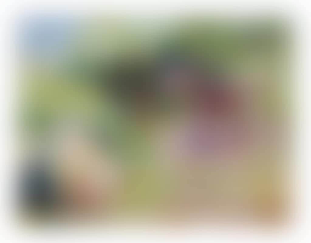 A horse in a field (recto); Flax field (verso) (preview)