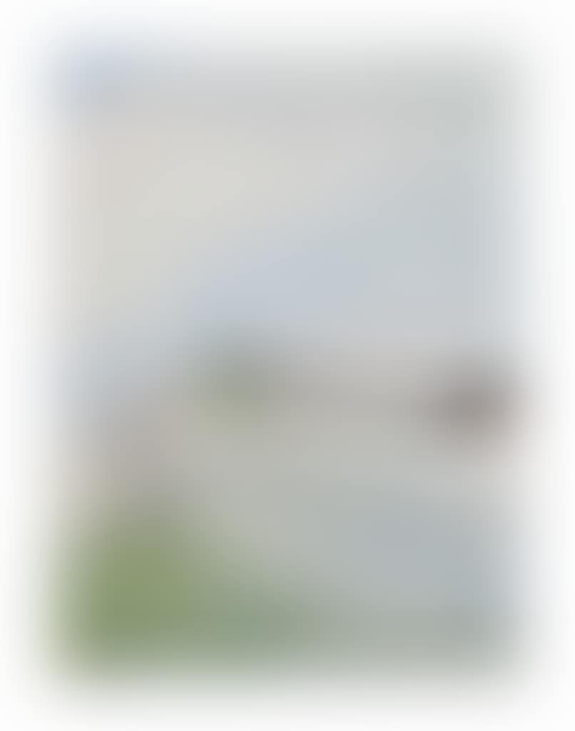 Figure dans les dunes et barques (preview)