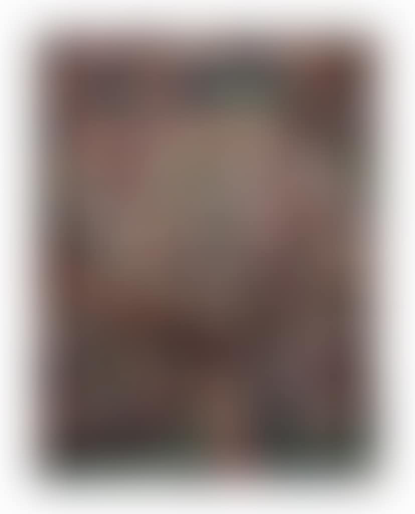 Beemster, voorjaar (preview)