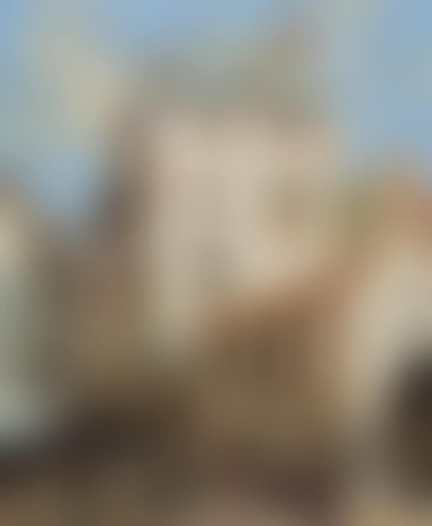 Market at Beaune (preview)