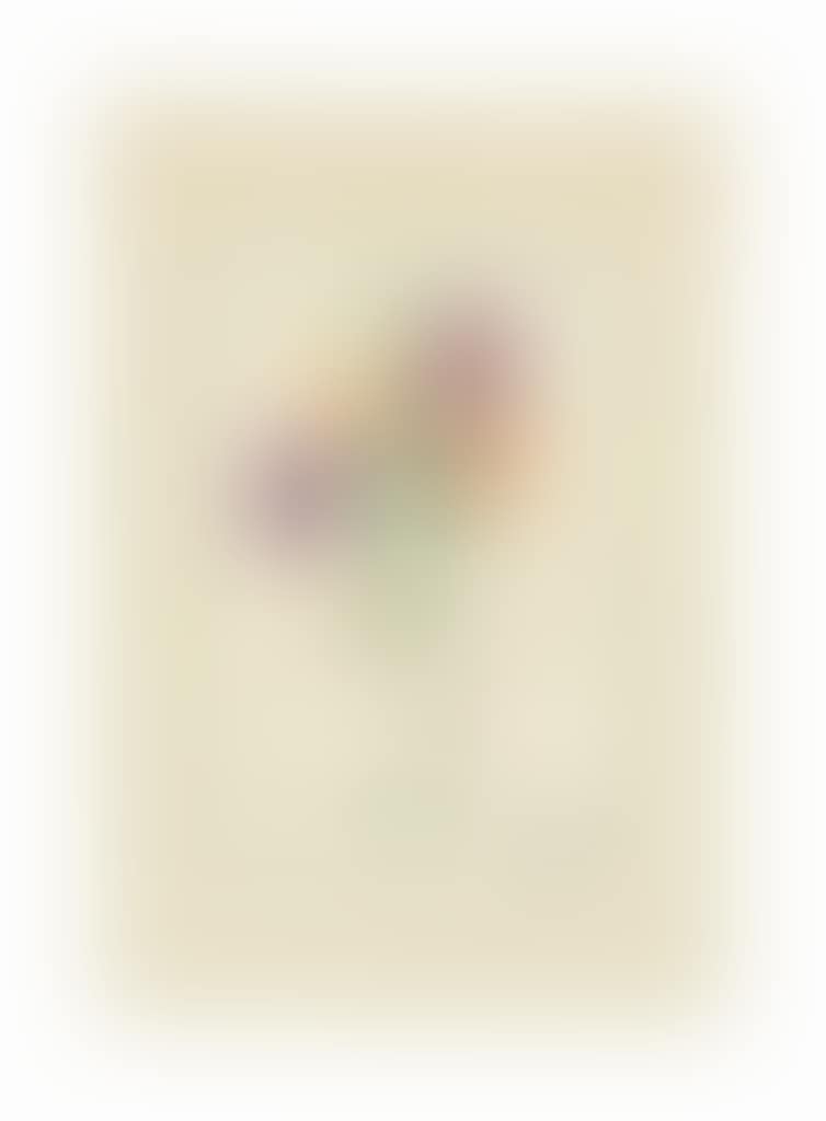 Le Bouquet (preview)