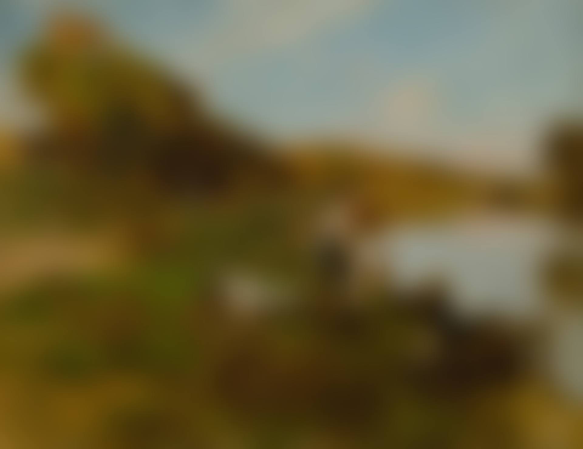 LA BELLE JOURNÉE (preview)
