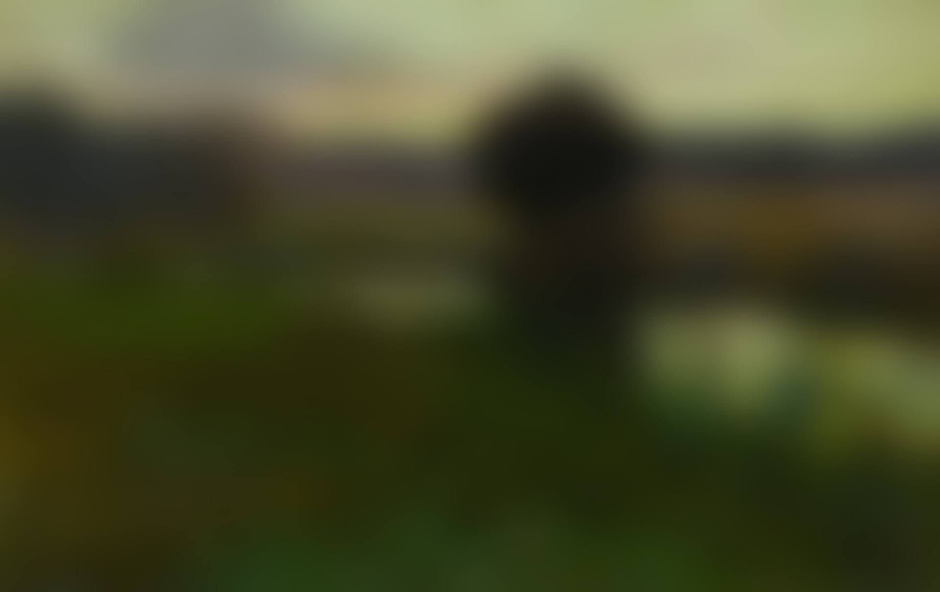 EVENING AT MENDHAM (preview)