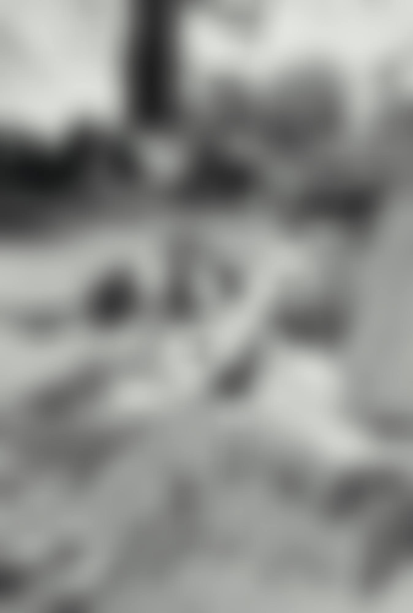 LE RETOUR, DISPLACED PERSONS, DESSAU (preview)