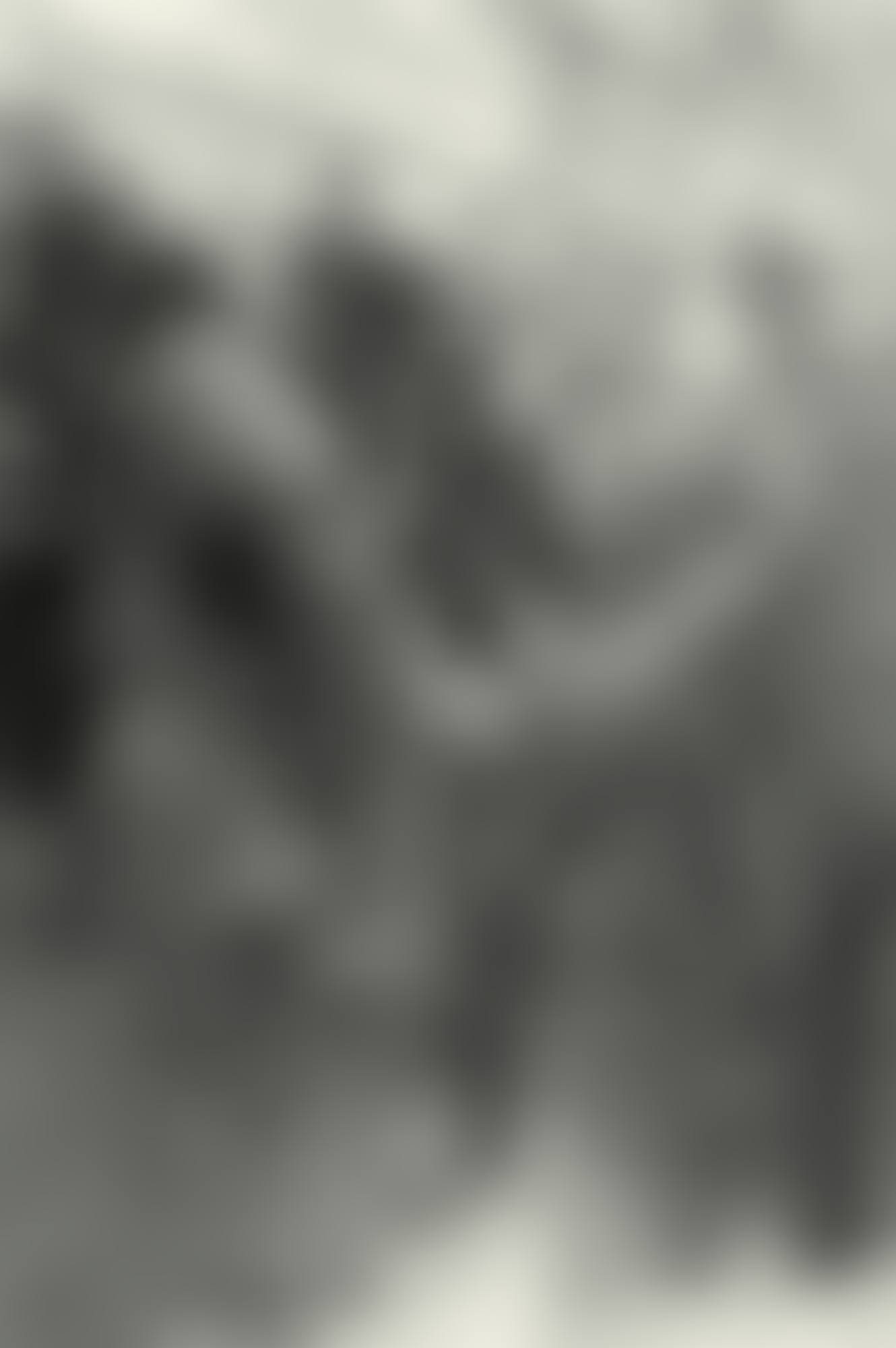LE DDT A DESSAU (preview)