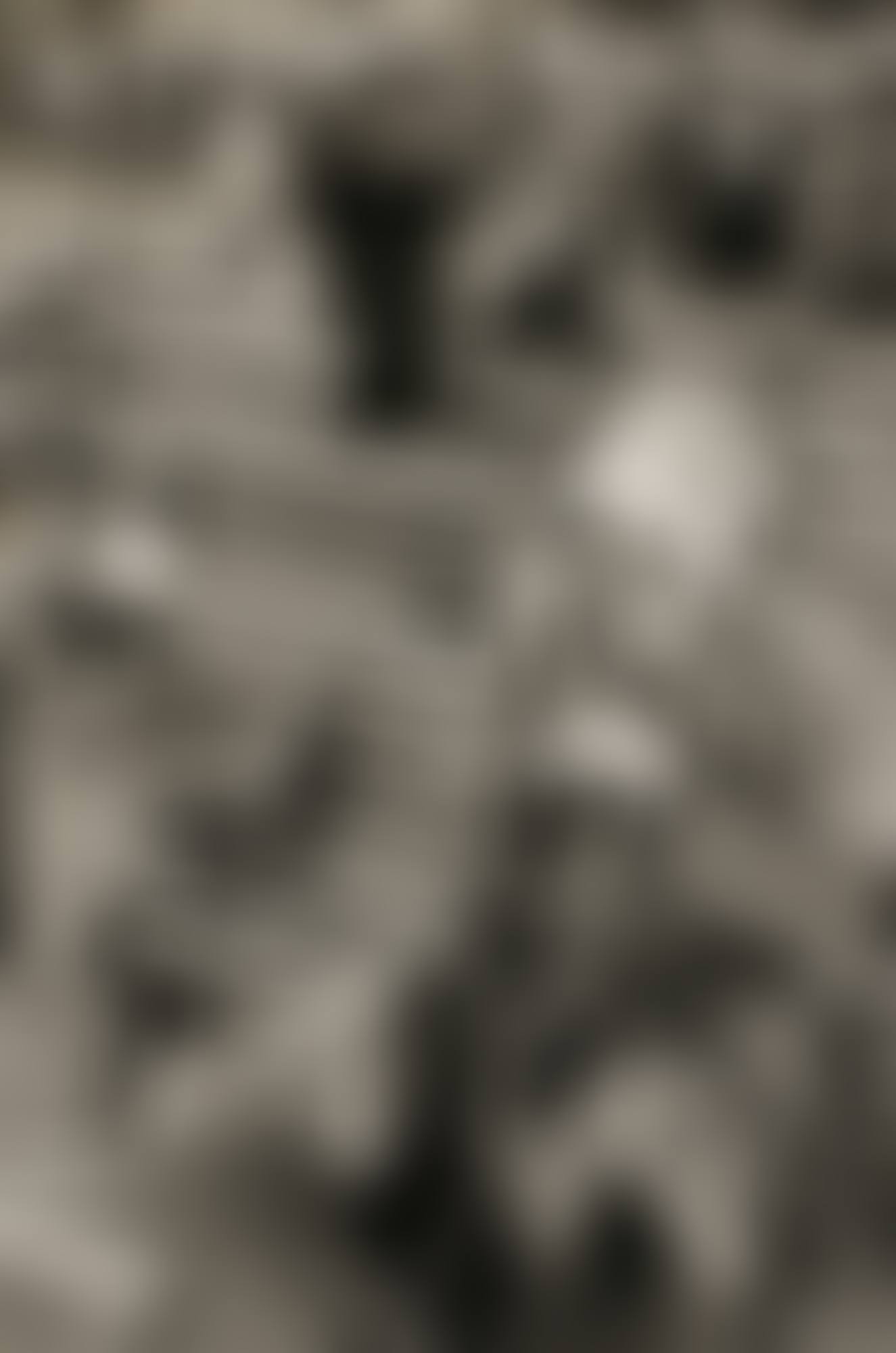 ASCOT RACECOURSE, BERKSHIRE (preview)