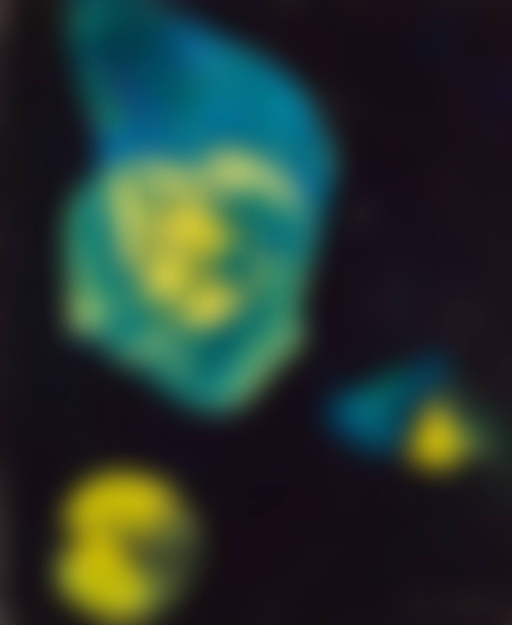 CONSTELLATION (preview)