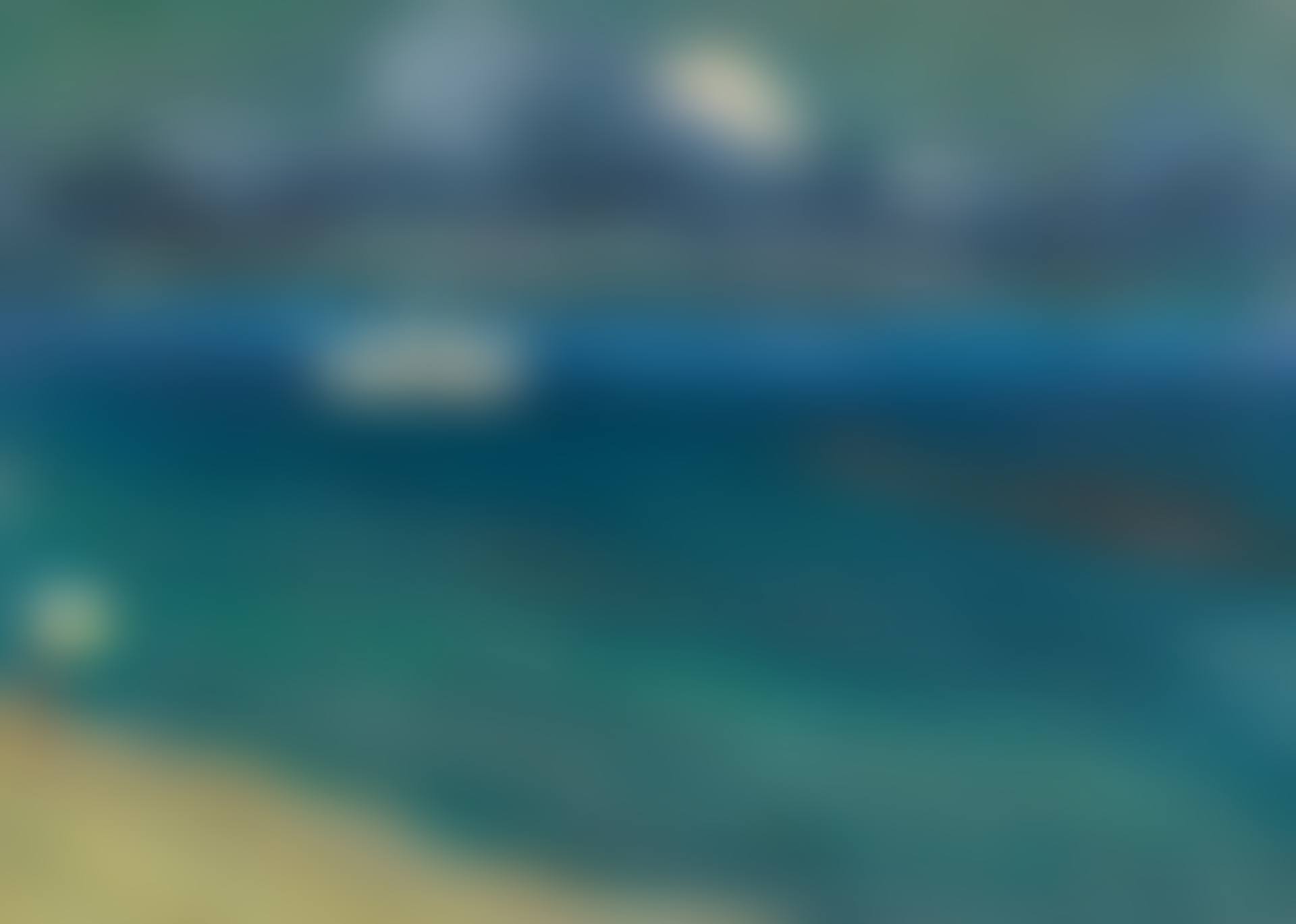 RAPALLO, SEASCAPE WITH STEAMER (preview)