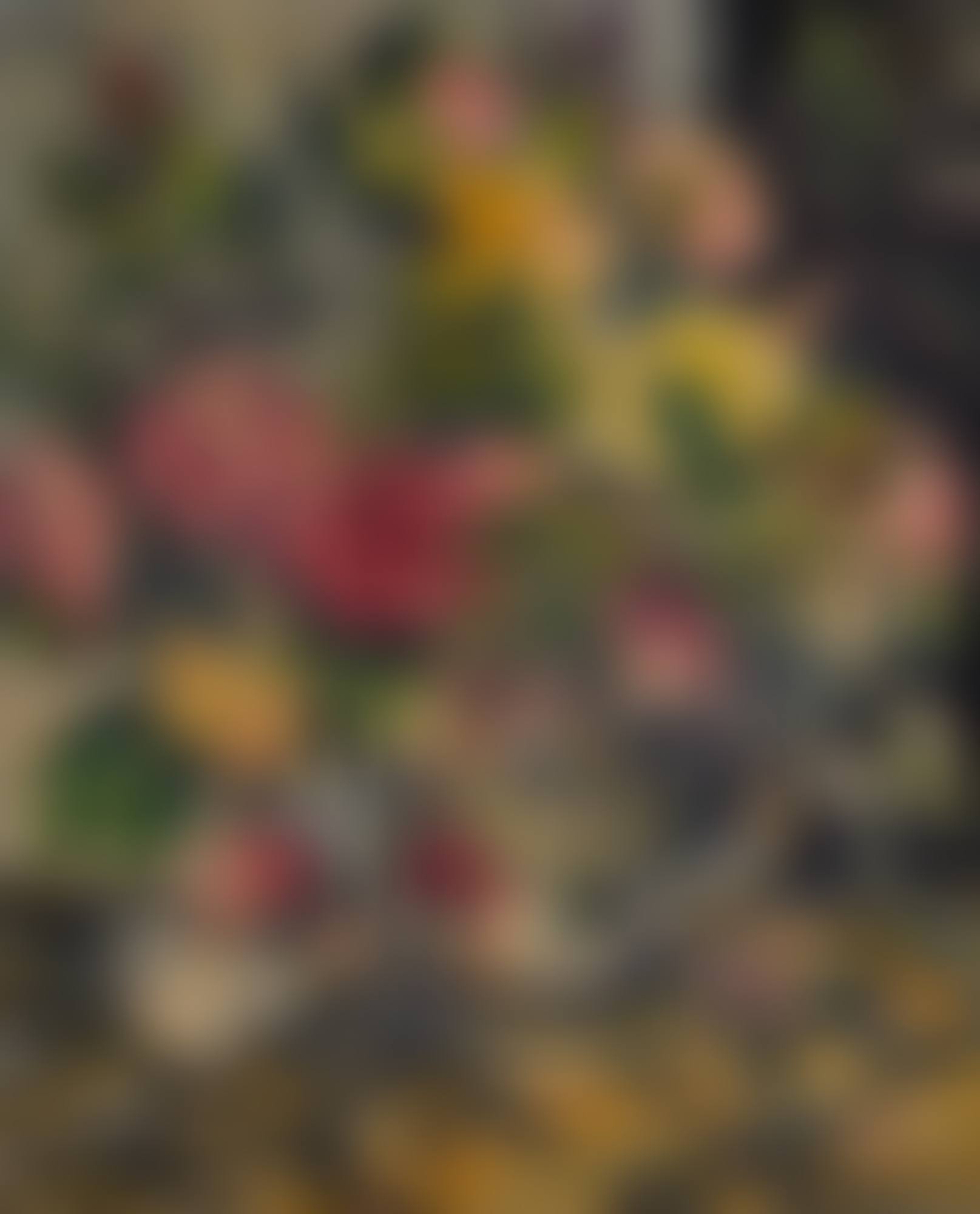 FLOWERS IN A VASE (preview)