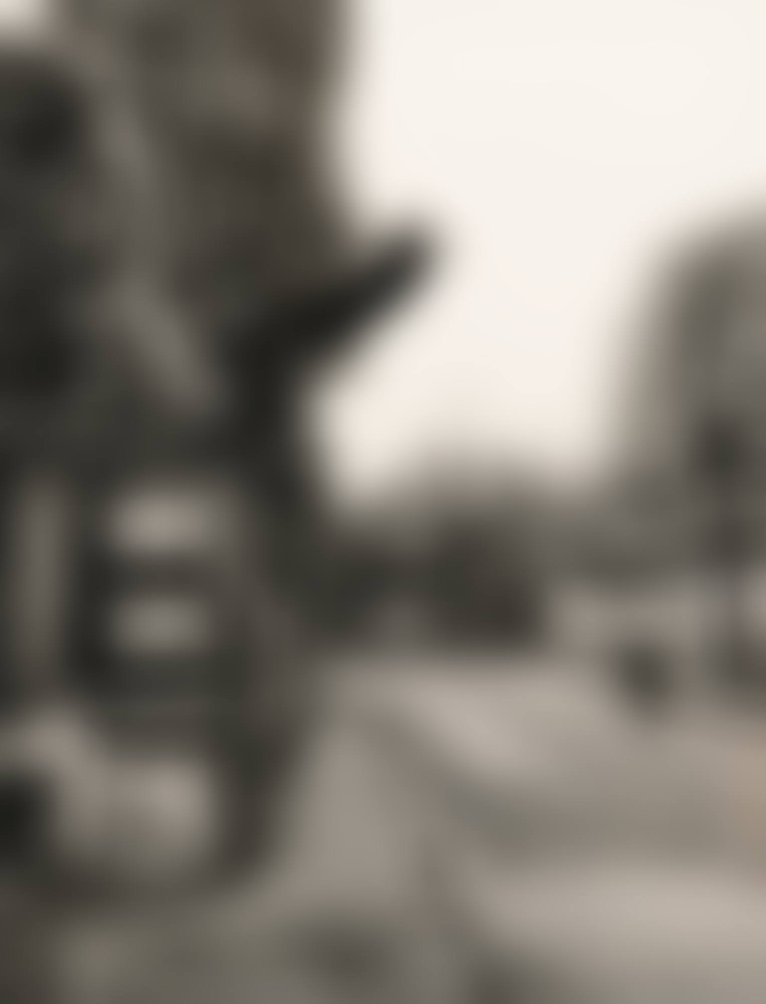 LE SAUT DANS LE VIDE (preview)